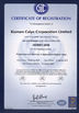 Cina Caiye Printing Equipment Co., LTD Certificazioni